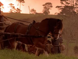 extant_XenaWarriorPrincess_5x07-BackInTheBottle_3673
