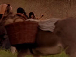 extant_XenaWarriorPrincess_5x07-BackInTheBottle_3690