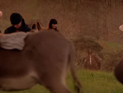 extant_XenaWarriorPrincess_5x07-BackInTheBottle_3691