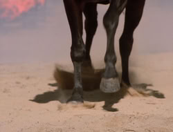 extant_XenaWarriorPrincess_5x20_Livia_00037