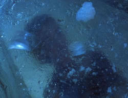 extant_XenaWarriorPrincess_5x20_Livia_00202