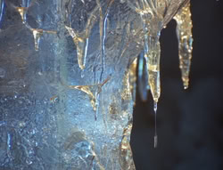 extant_XenaWarriorPrincess_5x20_Livia_00222