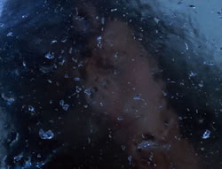extant_XenaWarriorPrincess_5x20_Livia_00233
