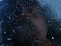 extant_XenaWarriorPrincess_5x20_Livia_00247