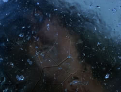 extant_XenaWarriorPrincess_5x20_Livia_00249