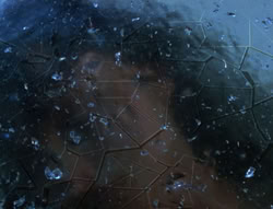 extant_XenaWarriorPrincess_5x20_Livia_00250