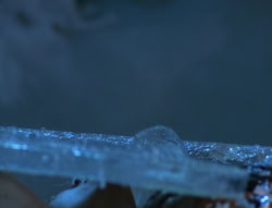 extant_XenaWarriorPrincess_5x20_Livia_00263