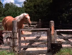extant_XenaWarriorPrincess_5x20_Livia_00833