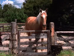 extant_XenaWarriorPrincess_5x20_Livia_00835