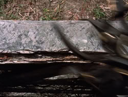 extant_XenaWarriorPrincess_5x20_Livia_00859