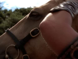extant_XenaWarriorPrincess_5x20_Livia_00860