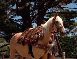 extant_XenaWarriorPrincess_5x20_Livia_00863