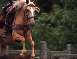 extant_XenaWarriorPrincess_5x20_Livia_00875