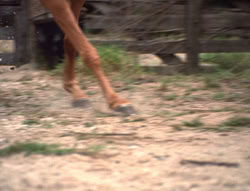 extant_XenaWarriorPrincess_5x20_Livia_00877