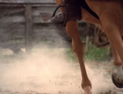extant_XenaWarriorPrincess_5x20_Livia_00880