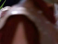 extant_XenaWarriorPrincess_5x20_Livia_01067