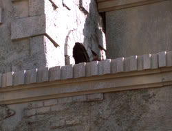 extant_XenaWarriorPrincess_5x20_Livia_01959