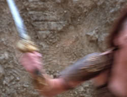 extant_XenaWarriorPrincess_5x20_Livia_03285