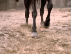 extant_XenaWarriorPrincess_5x20_Livia_03288