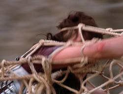 extant_XenaWarriorPrincess_5x20_Livia_03360