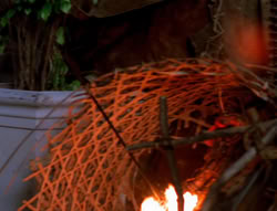 extant_XenaWarriorPrincess_5x21-Eve_01361