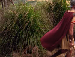 extant_XenaWarriorPrincess_5x21-Eve_01995