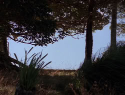 extant_XenaWarriorPrincess_5x21-Eve_02091