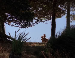 extant_XenaWarriorPrincess_5x21-Eve_02092