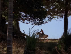 extant_XenaWarriorPrincess_5x21-Eve_02094