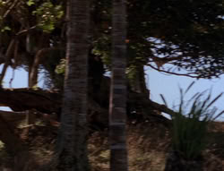 extant_XenaWarriorPrincess_5x21-Eve_02095