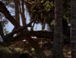 extant_XenaWarriorPrincess_5x21-Eve_02096