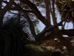extant_XenaWarriorPrincess_5x21-Eve_02097