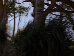 extant_XenaWarriorPrincess_5x21-Eve_02098