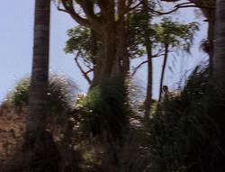 extant_XenaWarriorPrincess_5x21-Eve_02099
