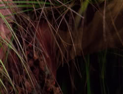 extant_XenaWarriorPrincess_5x21-Eve_02120