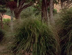 extant_XenaWarriorPrincess_5x21-Eve_02146
