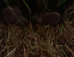 extant_XenaWarriorPrincess_5x21-Eve_02160