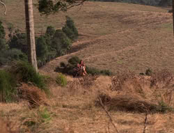 extant_XenaWarriorPrincess_5x21-Eve_02163