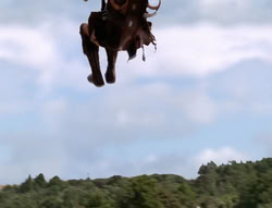 extant_XenaWarriorPrincess_5x21-Eve_02227
