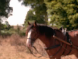 extant_XenaWarriorPrincess_5x21-Eve_02359