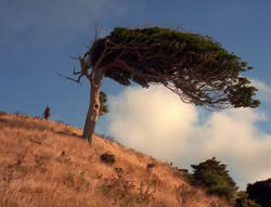 extant_XenaWarriorPrincess_5x21-Eve_02811