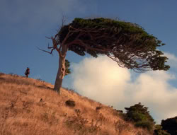 extant_XenaWarriorPrincess_5x21-Eve_02813