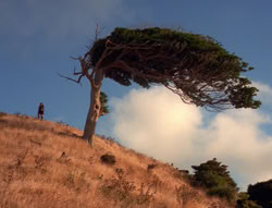 extant_XenaWarriorPrincess_5x21-Eve_02814