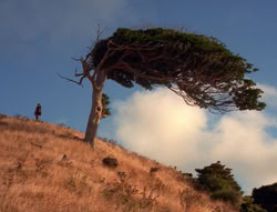 extant_XenaWarriorPrincess_5x21-Eve_02815