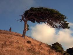 extant_XenaWarriorPrincess_5x21-Eve_02818