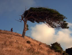 extant_XenaWarriorPrincess_5x21-Eve_02819