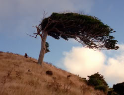 extant_XenaWarriorPrincess_5x21-Eve_02927