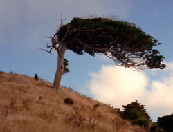extant_XenaWarriorPrincess_5x21-Eve_02928