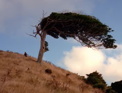 extant_XenaWarriorPrincess_5x21-Eve_02930