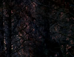 extant_XenaWarriorPrincess_6x01-ComingHome_00022